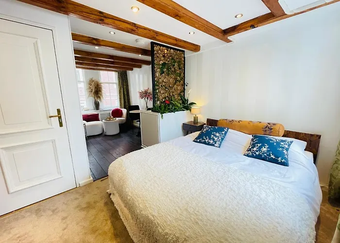 Luxury Suites The Enlightened House
